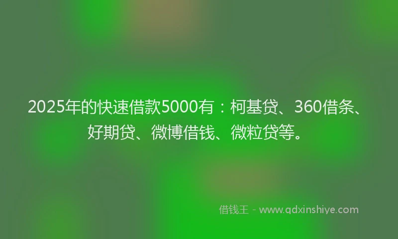 2025年的快速借款5000有：柯基贷、360借条、好期贷、微博借钱、微粒贷等。