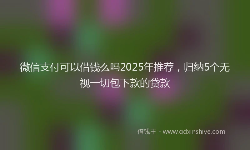 微信支付可以借钱么吗2025年推荐，归纳5个无视一切包下款的贷款