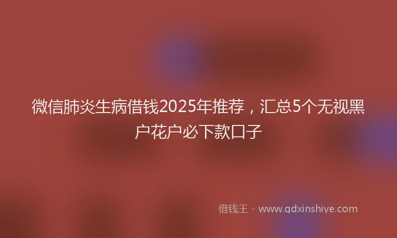 微信肺炎生病借钱2025年推荐，汇总5个无视黑户花户必下款口子