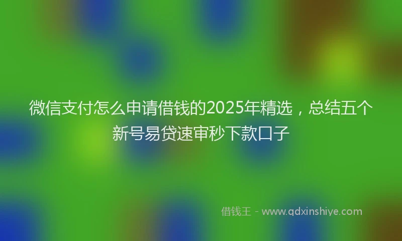 微信支付怎么申请借钱的2025年精选，总结五个新号易贷速审秒下款口子
