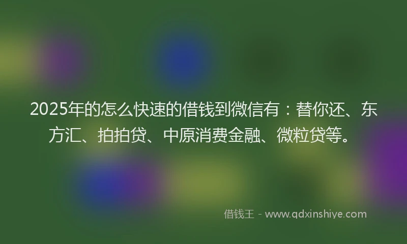 2025年的怎么快速的借钱到微信有：替你还、东方汇、拍拍贷、中原消费金融、微粒贷等。