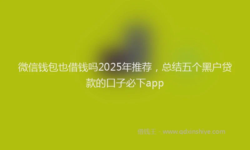 微信钱包也借钱吗2025年推荐，总结五个黑户贷款的口子必下app