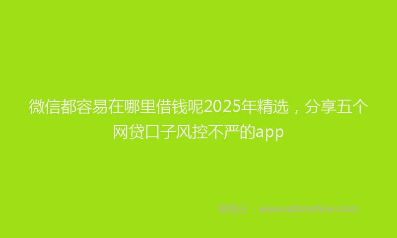 微信都容易在哪里借钱呢2025年精选，分享五个网贷口子风控不严的app