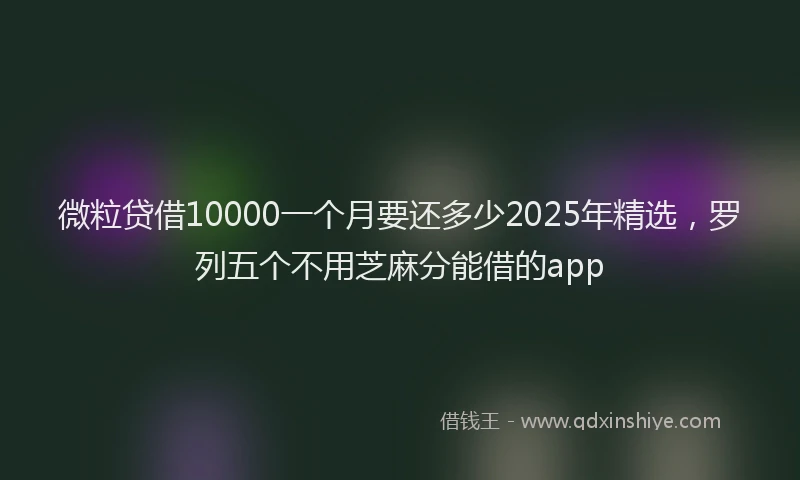 微粒贷借10000一个月要还多少2025年精选，罗列五个不用芝麻分能借的app