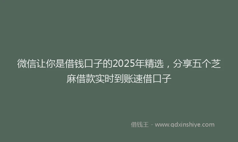 微信让你是借钱口子的2025年精选，分享五个芝麻借款实时到账速借口子