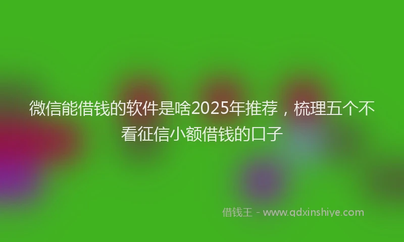 微信能借钱的软件是啥2025年推荐，梳理五个不看征信小额借钱的口子