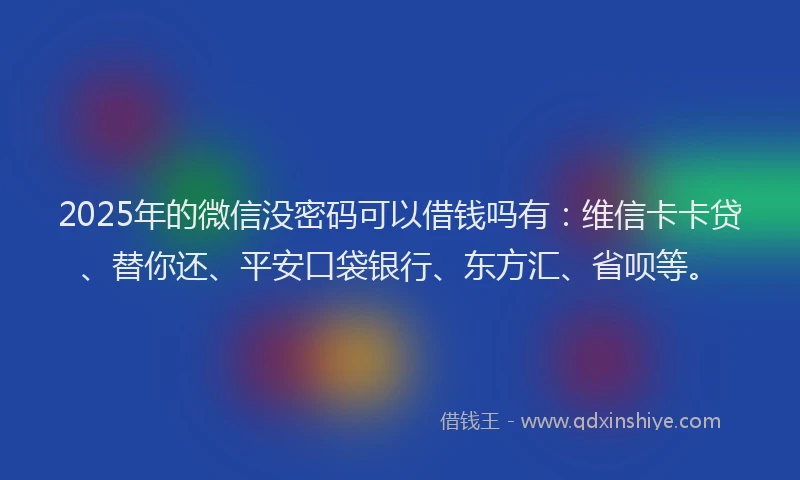 2025年的微信没密码可以借钱吗有：维信卡卡贷、替你还、平安口袋银行、东方汇、省呗等。