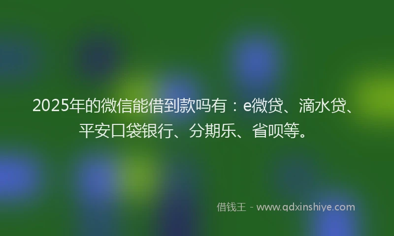2025年的微信能借到款吗有：e微贷、滴水贷、平安口袋银行、分期乐、省呗等。