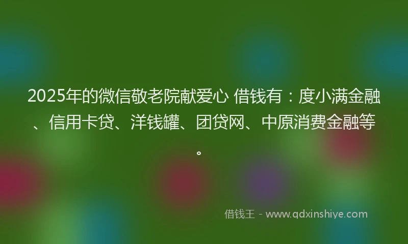 2025年的微信敬老院献爱心 借钱有：度小满金融、信用卡贷、洋钱罐、团贷网、中原消费金融等。