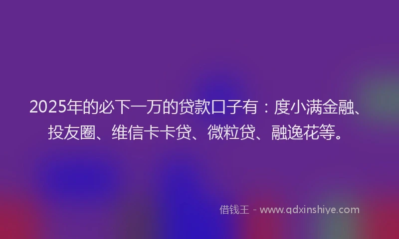 2025年的必下一万的贷款口子有：度小满金融、投友圈、维信卡卡贷、微粒贷、融逸花等。