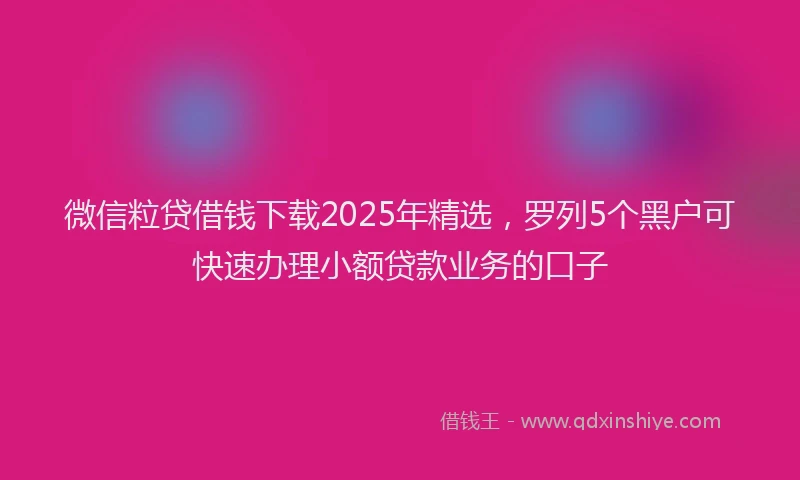 微信粒贷借钱下载2025年精选，罗列5个黑户可快速办理小额贷款业务的口子