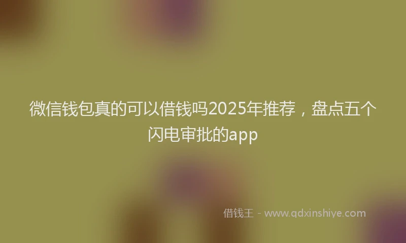 微信钱包真的可以借钱吗2025年推荐，盘点五个闪电审批的app