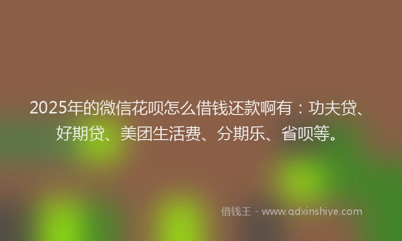 2025年的微信花呗怎么借钱还款啊有：功夫贷、好期贷、美团生活费、分期乐、省呗等。
