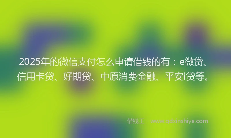 2025年的微信支付怎么申请借钱的有：e微贷、信用卡贷、好期贷、中原消费金融、平安i贷等。