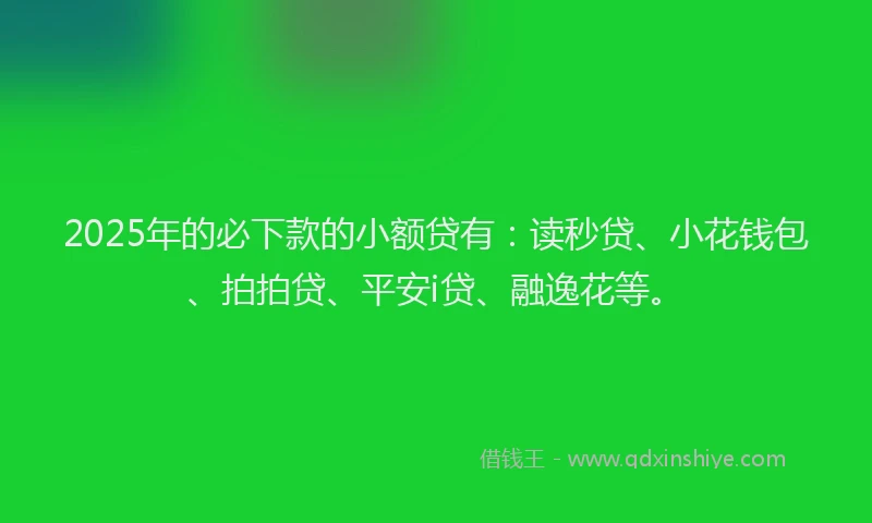 2025年的必下款的小额贷有：读秒贷、小花钱包、拍拍贷、平安i贷、融逸花等。
