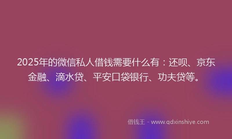 2025年的微信私人借钱需要什么有：还呗、京东金融、滴水贷、平安口袋银行、功夫贷等。