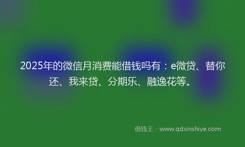 2025年的微信月消费能借钱吗有：e微贷、替你还、我来贷、分期乐、融逸花等。