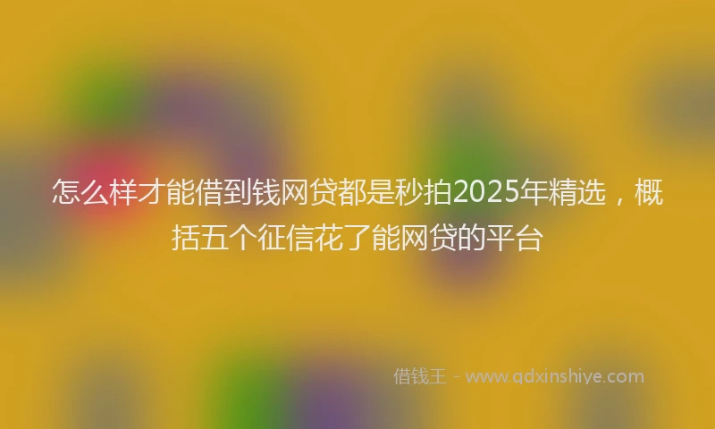 怎么样才能借到钱网贷都是秒拍2025年精选，概括五个征信花了能网贷的平台