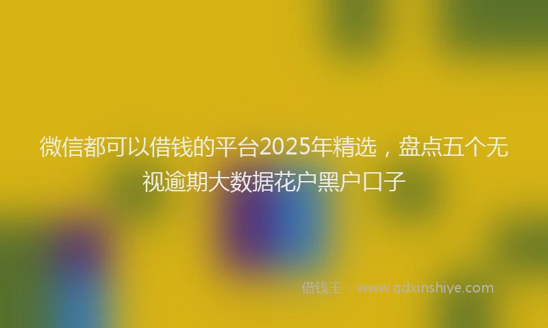微信都可以借钱的平台2025年精选，盘点五个无视逾期大数据花户黑户口子