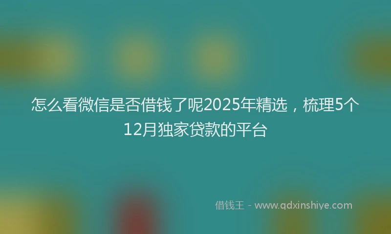 怎么看微信是否借钱了呢2025年精选，梳理5个12月独家贷款的平台