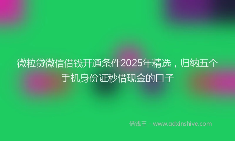 微粒贷微信借钱开通条件2025年精选，归纳五个手机身份证秒借现金的口子