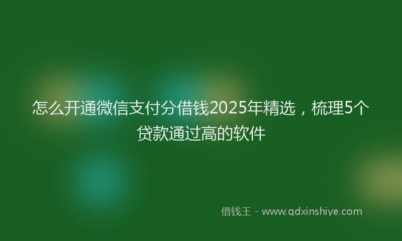 怎么开通微信支付分借钱2025年精选，梳理5个贷款通过高的软件