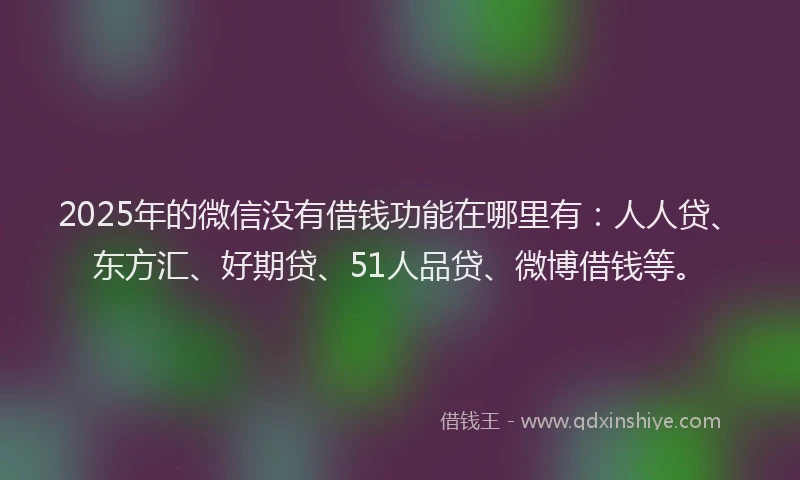 2025年的微信没有借钱功能在哪里有：人人贷、东方汇、好期贷、51人品贷、微博借钱等。