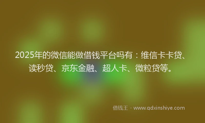 2025年的微信能做借钱平台吗有：维信卡卡贷、读秒贷、京东金融、超人卡、微粒贷等。