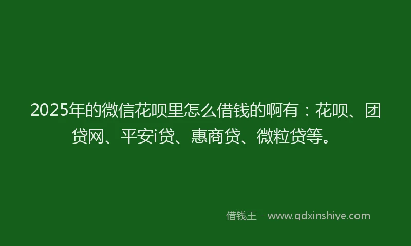 2025年的微信花呗里怎么借钱的啊有：花呗、团贷网、平安i贷、惠商贷、微粒贷等。