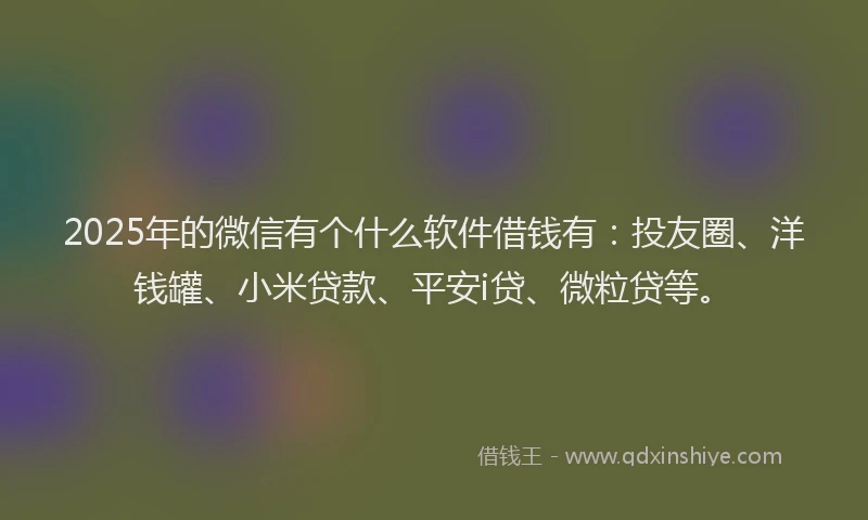 2025年的微信有个什么软件借钱有：投友圈、洋钱罐、小米贷款、平安i贷、微粒贷等。