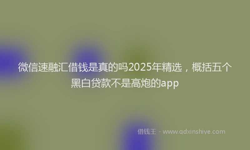 微信速融汇借钱是真的吗2025年精选，概括五个黑白贷款不是高炮的app