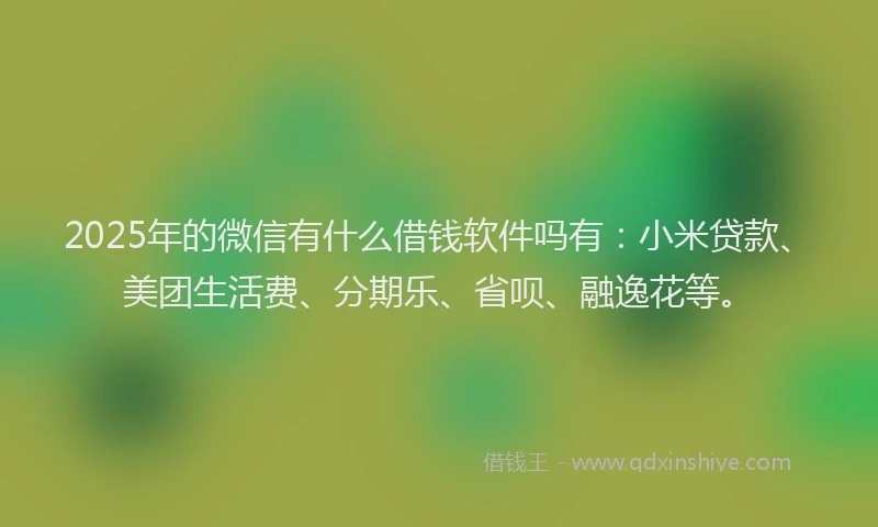 2025年的微信有什么借钱软件吗有：小米贷款、美团生活费、分期乐、省呗、融逸花等。