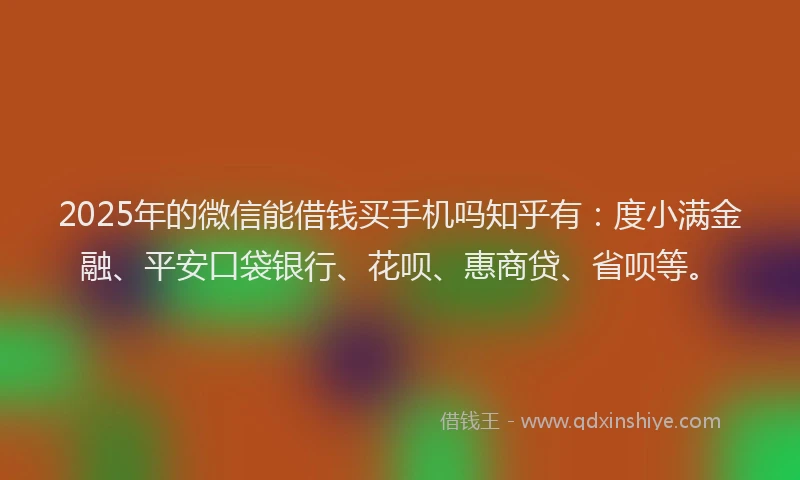 2025年的微信能借钱买手机吗知乎有：度小满金融、平安口袋银行、花呗、惠商贷、省呗等。