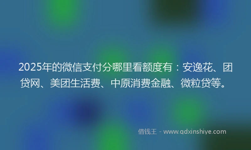 2025年的微信支付分哪里看额度有：安逸花、团贷网、美团生活费、中原消费金融、微粒贷等。