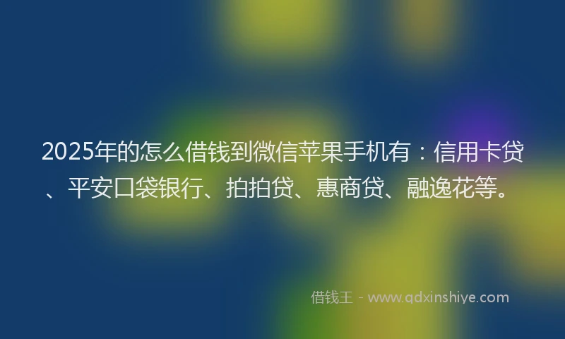 2025年的怎么借钱到微信苹果手机有：信用卡贷、平安口袋银行、拍拍贷、惠商贷、融逸花等。