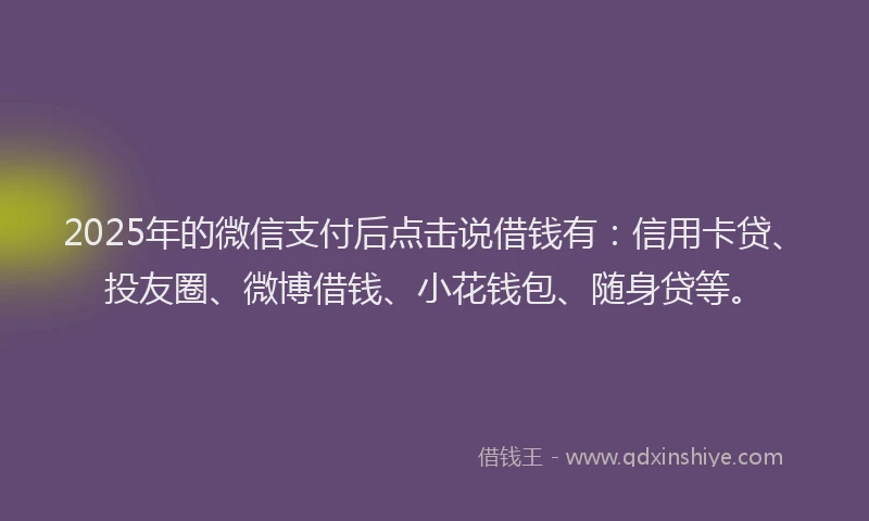 2025年的微信支付后点击说借钱有：信用卡贷、投友圈、微博借钱、小花钱包、随身贷等。