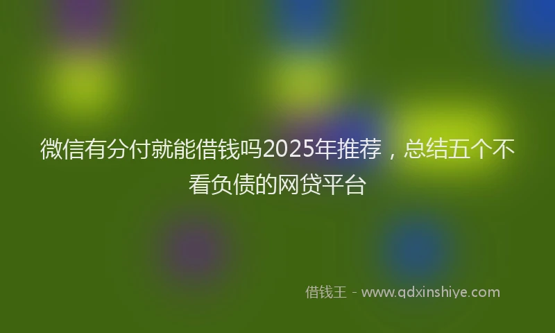 微信有分付就能借钱吗2025年推荐，总结五个不看负债的网贷平台