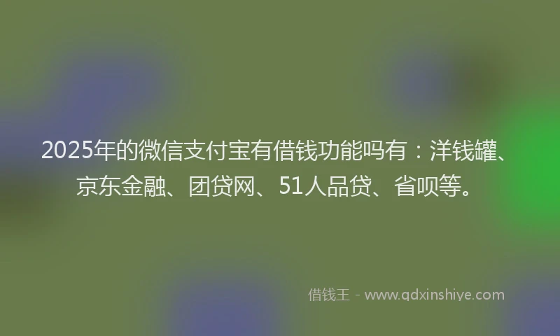 2025年的微信支付宝有借钱功能吗有：洋钱罐、京东金融、团贷网、51人品贷、省呗等。