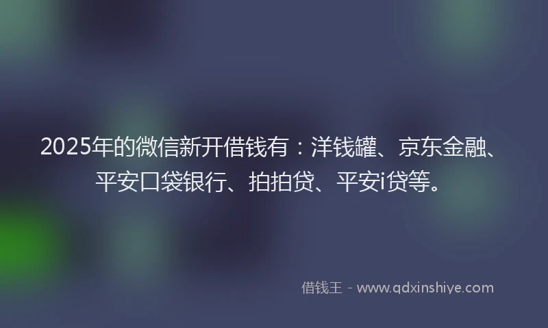 2025年的微信新开借钱有：洋钱罐、京东金融、平安口袋银行、拍拍贷、平安i贷等。