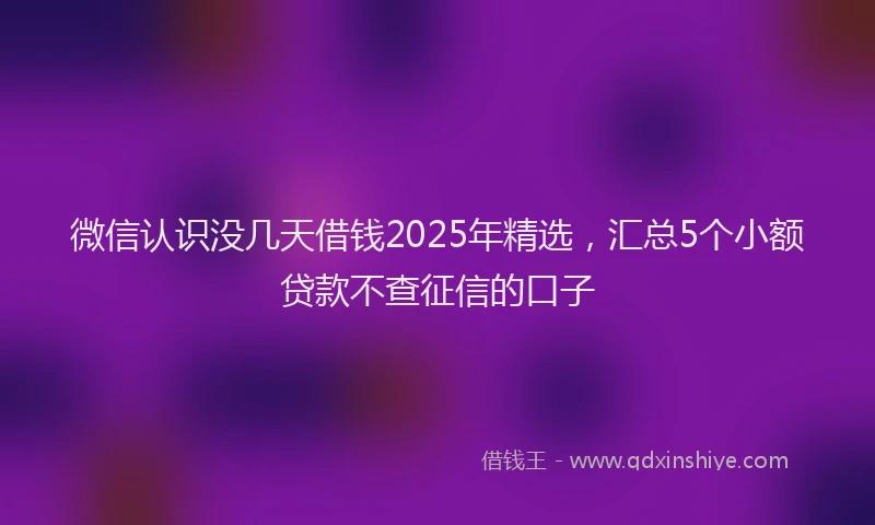 微信认识没几天借钱2025年精选，汇总5个小额贷款不查征信的口子