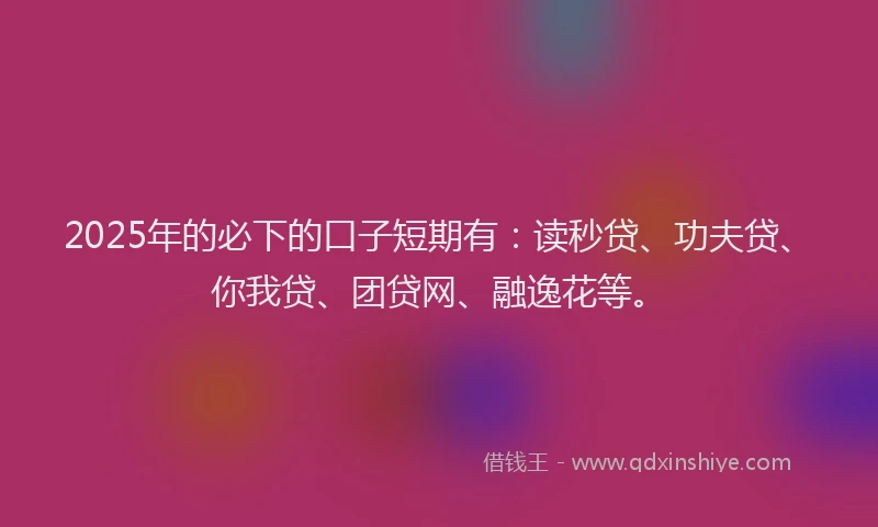 2025年的必下的口子短期有：读秒贷、功夫贷、你我贷、团贷网、融逸花等。