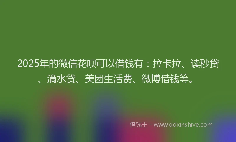 2025年的微信花呗可以借钱有：拉卡拉、读秒贷、滴水贷、美团生活费、微博借钱等。