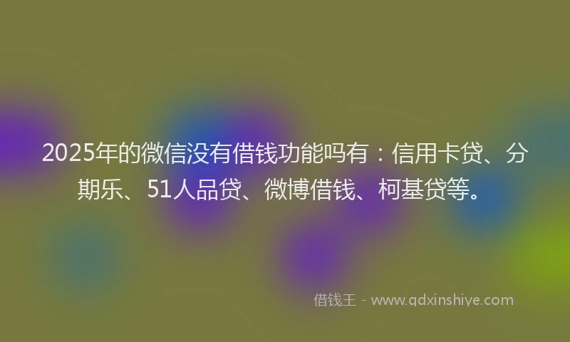 2025年的微信没有借钱功能吗有：信用卡贷、分期乐、51人品贷、微博借钱、柯基贷等。