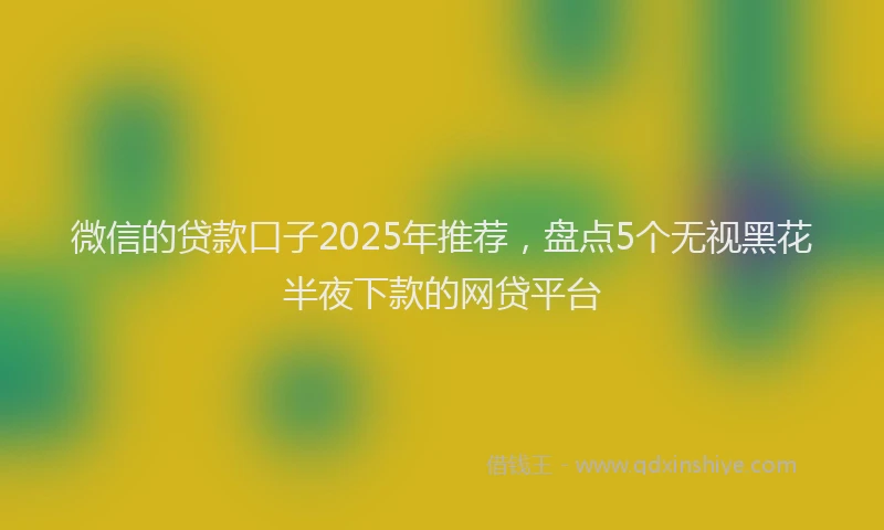 微信的贷款口子2025年推荐，盘点5个无视黑花半夜下款的网贷平台