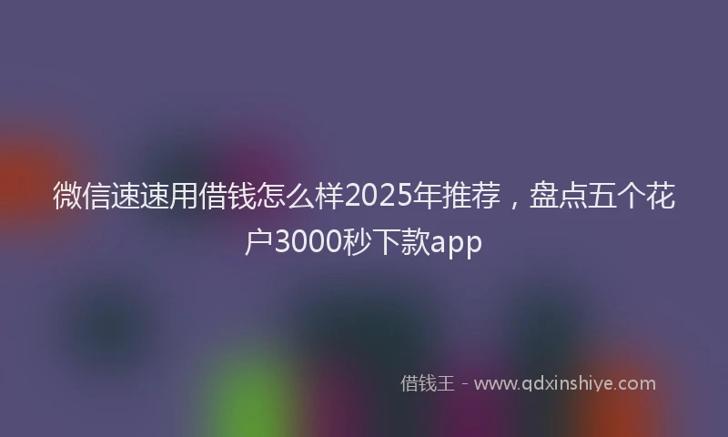 微信速速用借钱怎么样2025年推荐，盘点五个花户3000秒下款app