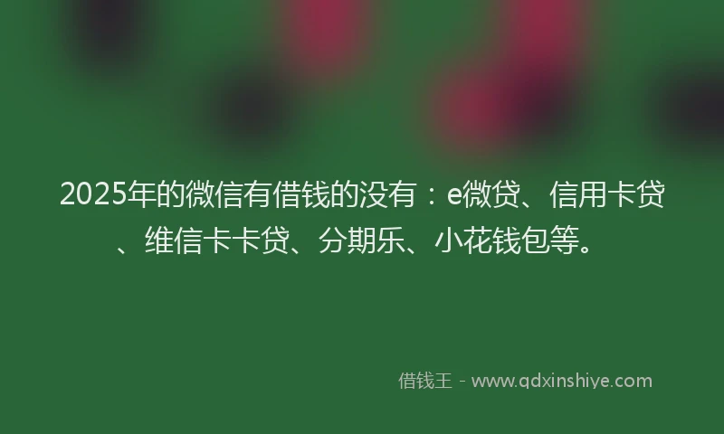 2025年的微信有借钱的没有：e微贷、信用卡贷、维信卡卡贷、分期乐、小花钱包等。