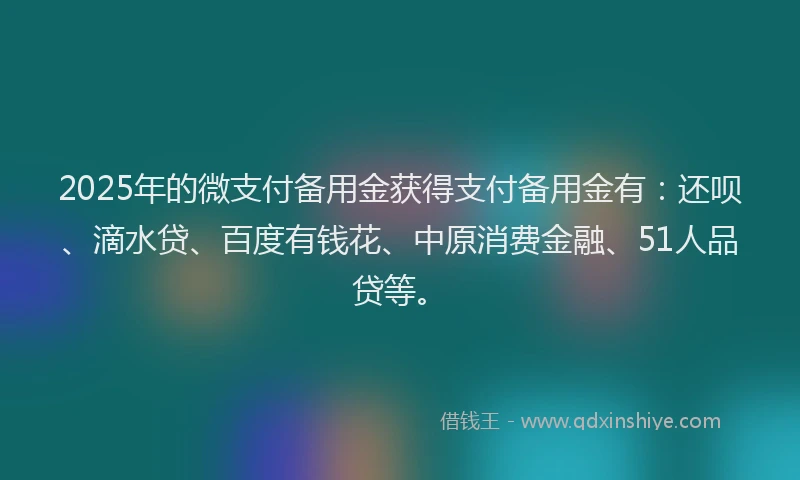 2025年的微支付备用金获得支付备用金有：还呗、滴水贷、百度有钱花、中原消费金融、51人品贷等。