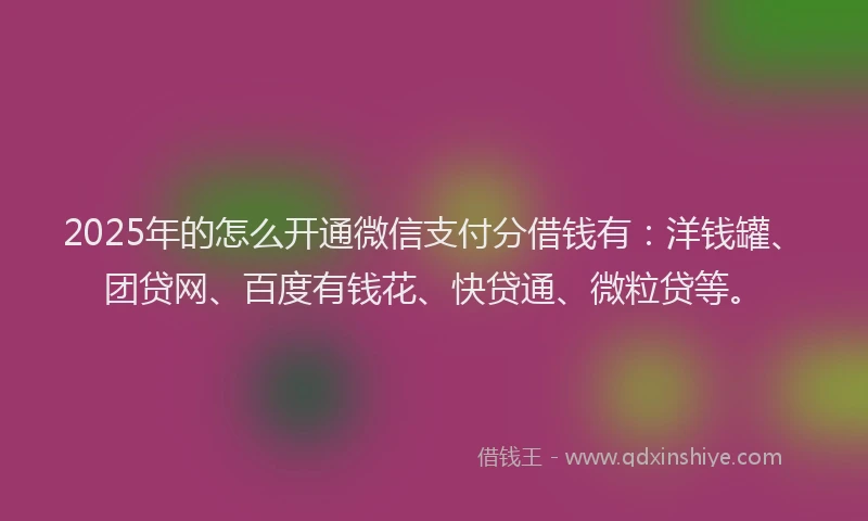 2025年的怎么开通微信支付分借钱有：洋钱罐、团贷网、百度有钱花、快贷通、微粒贷等。