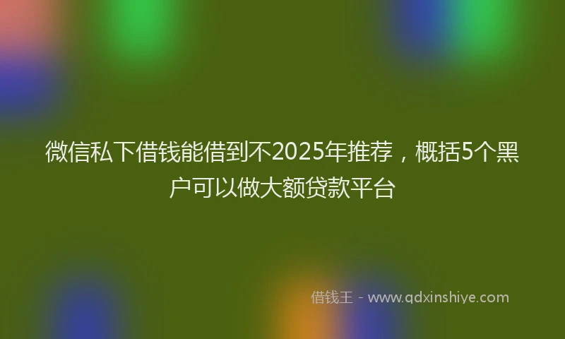 微信私下借钱能借到不2025年推荐，概括5个黑户可以做大额贷款平台