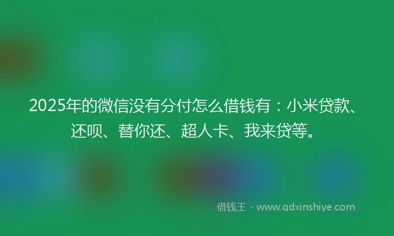 2025年的微信没有分付怎么借钱有：小米贷款、还呗、替你还、超人卡、我来贷等。